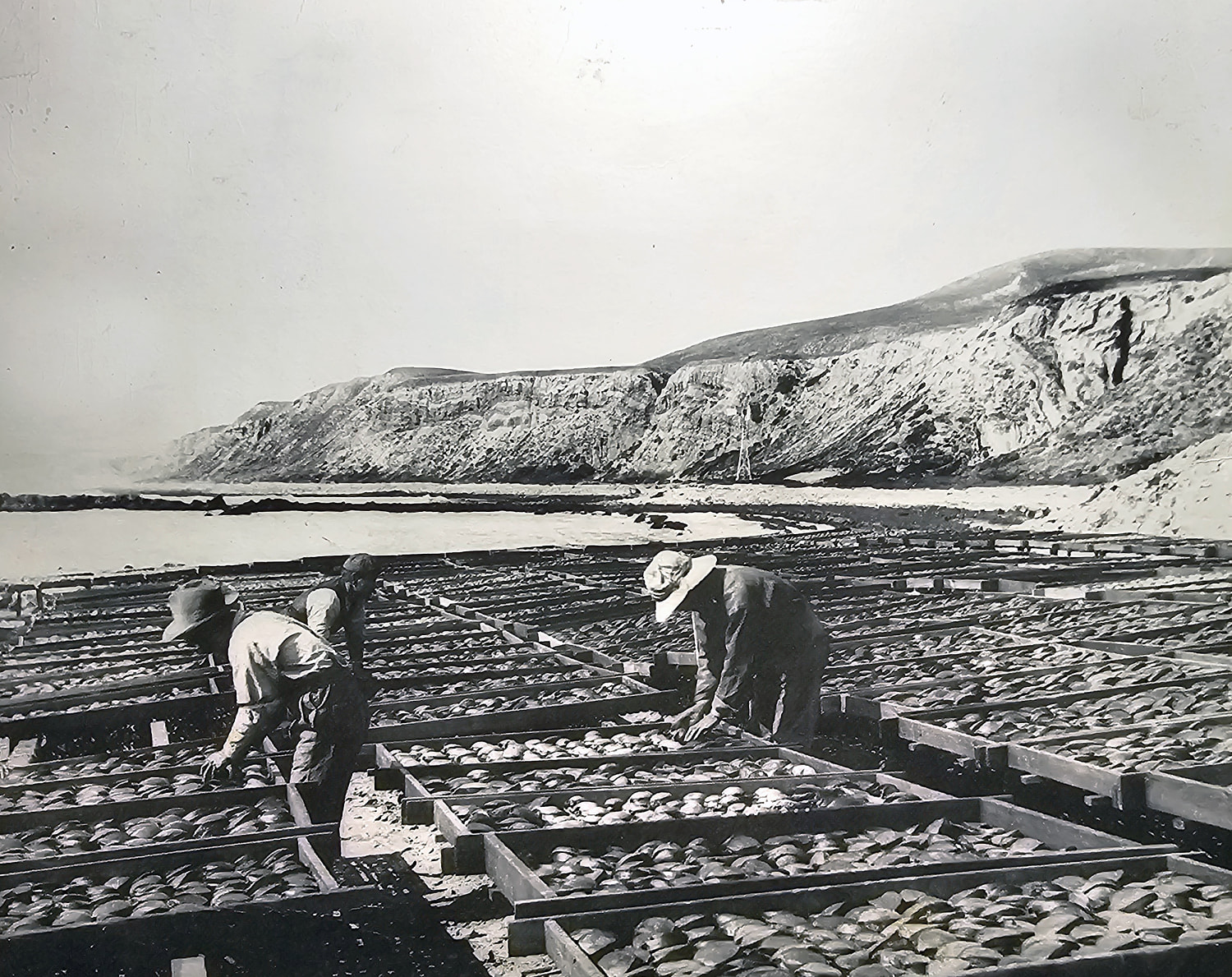 A Japanese village that helped develop California's fishing industry could become container storage