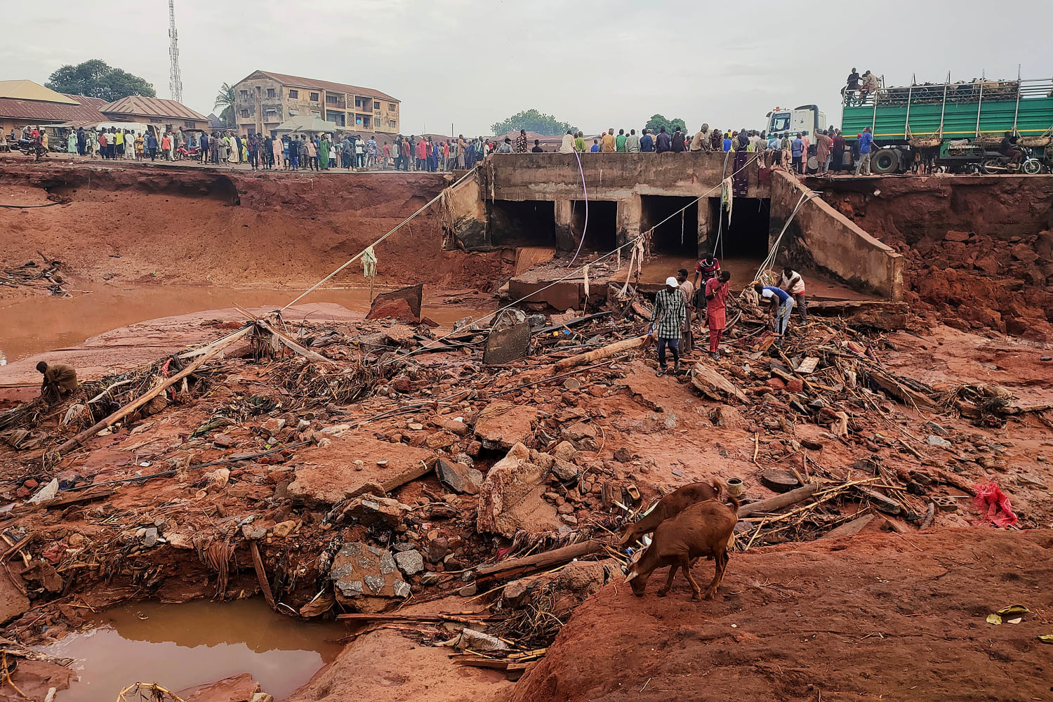 At least 200 killed as floods submerge Nigerian trading hub