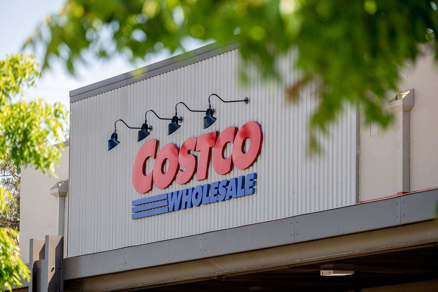 Woman sues Costco for $14M, says cabinet fell on her at California store and gave her brain injury