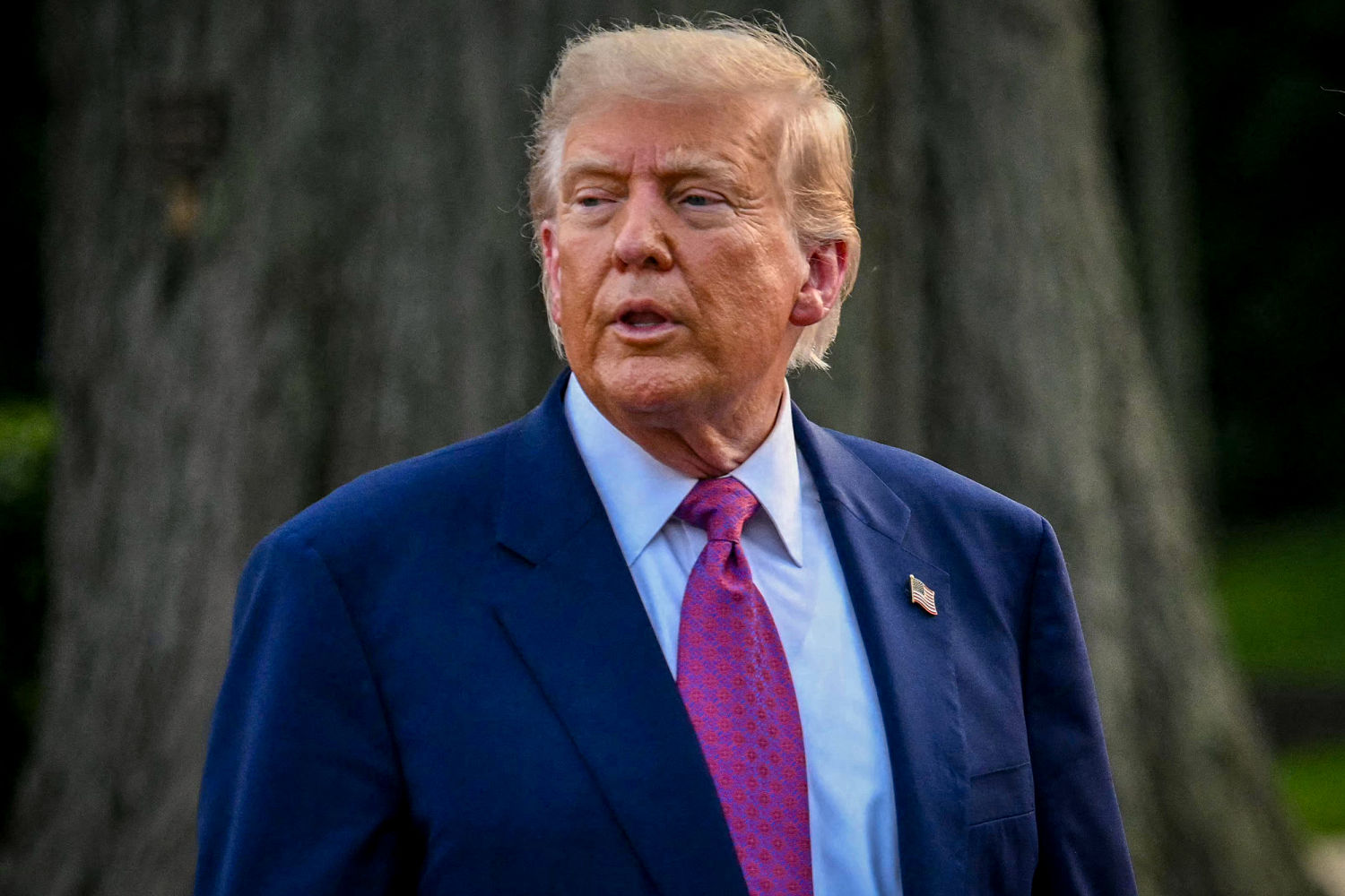 Trump says U.S. has 'too many non-working holidays' on Juneteenth