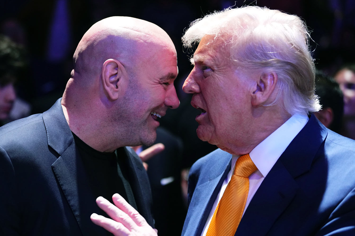 UFC confirms Trump's plan to host a fight at White House in 2026
