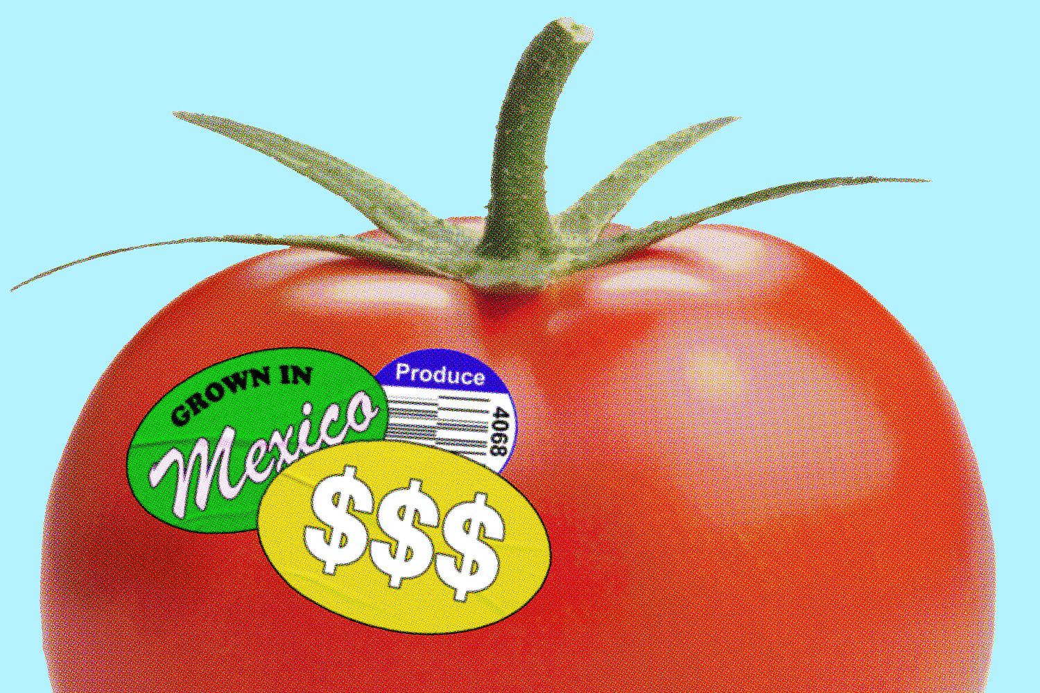 Greenhouse growers take aim at U.S. 'tomato tax' on Mexican imports