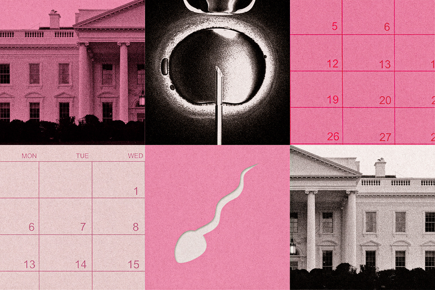 A little-known approach to infertility is complicating the White House's IVF push