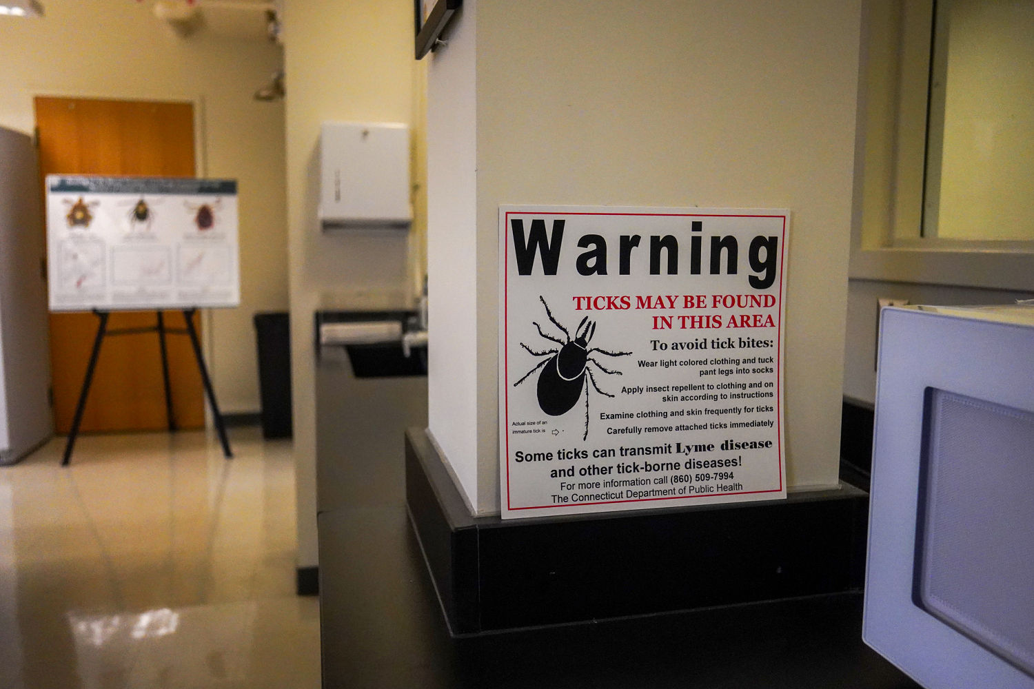 Scientists warn of invasive longhorned tick carrying debilitating Ehrlichiosis infection