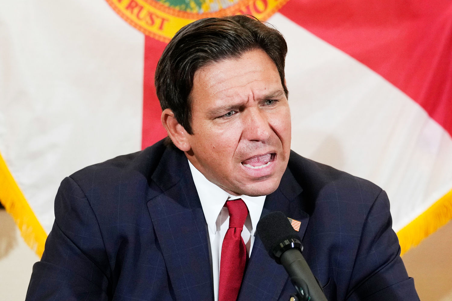 Federal judge guts major portion of Florida’s book ban, in a blow to DeSantis