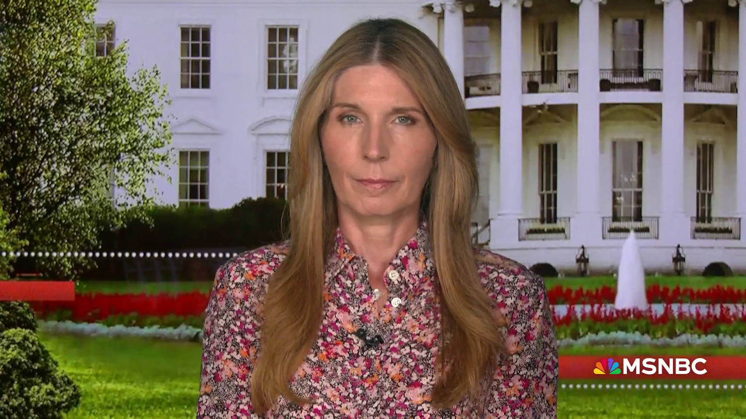 Nicolle Wallace on the metaphor she says perfectly sums up Trump’s ‘slow-moving coup’