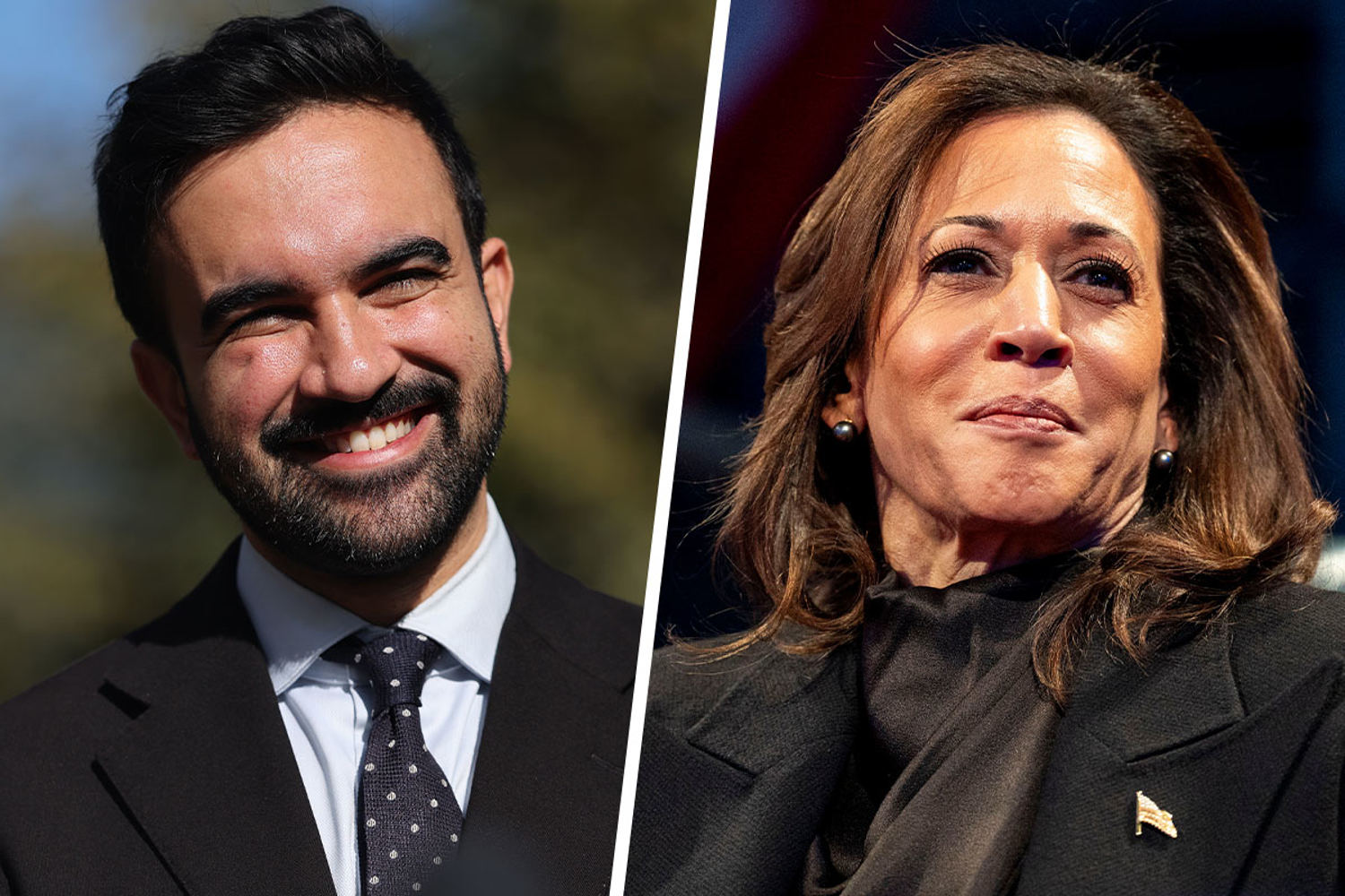 Kamala Harris gives Zohran Mamdani a tepid endorsement in the NYC mayoral race