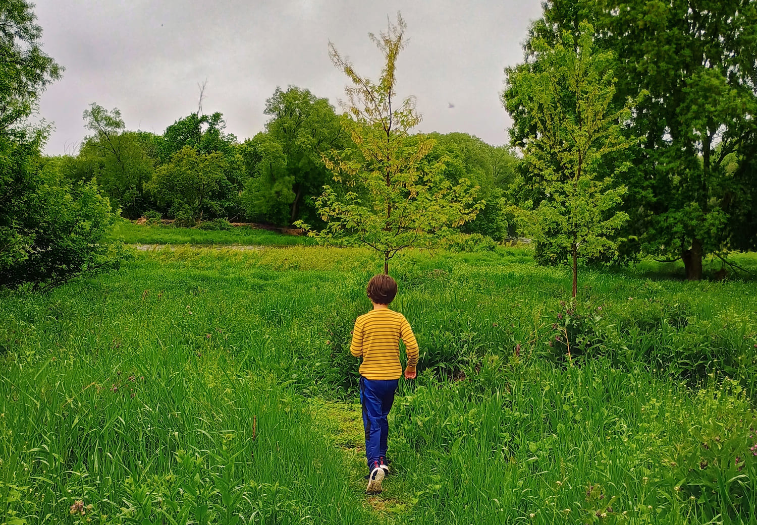 There are different forms of autism and age of diagnosis is a factor, a genetic study shows