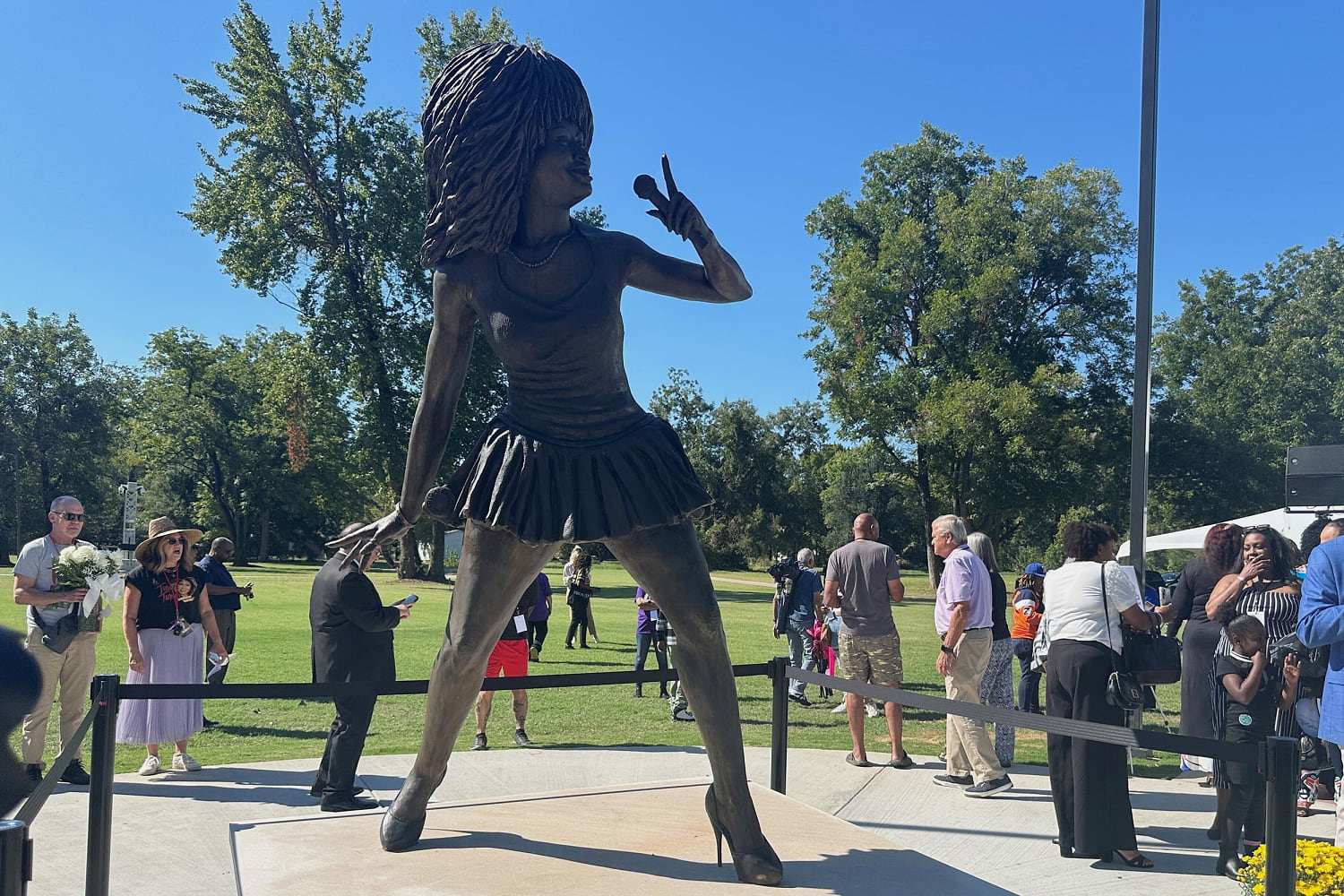 New Tina Turner Statue in Tennessee Sparks Backlash From Fans