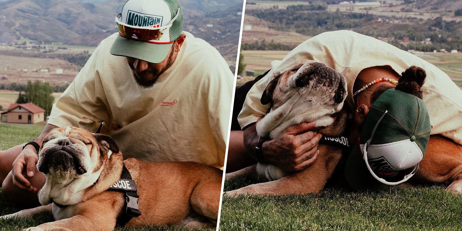 F1 Driver Lewis Hamilton Shares Dog Roscoe Died in His Arms in Heartbreaking Post