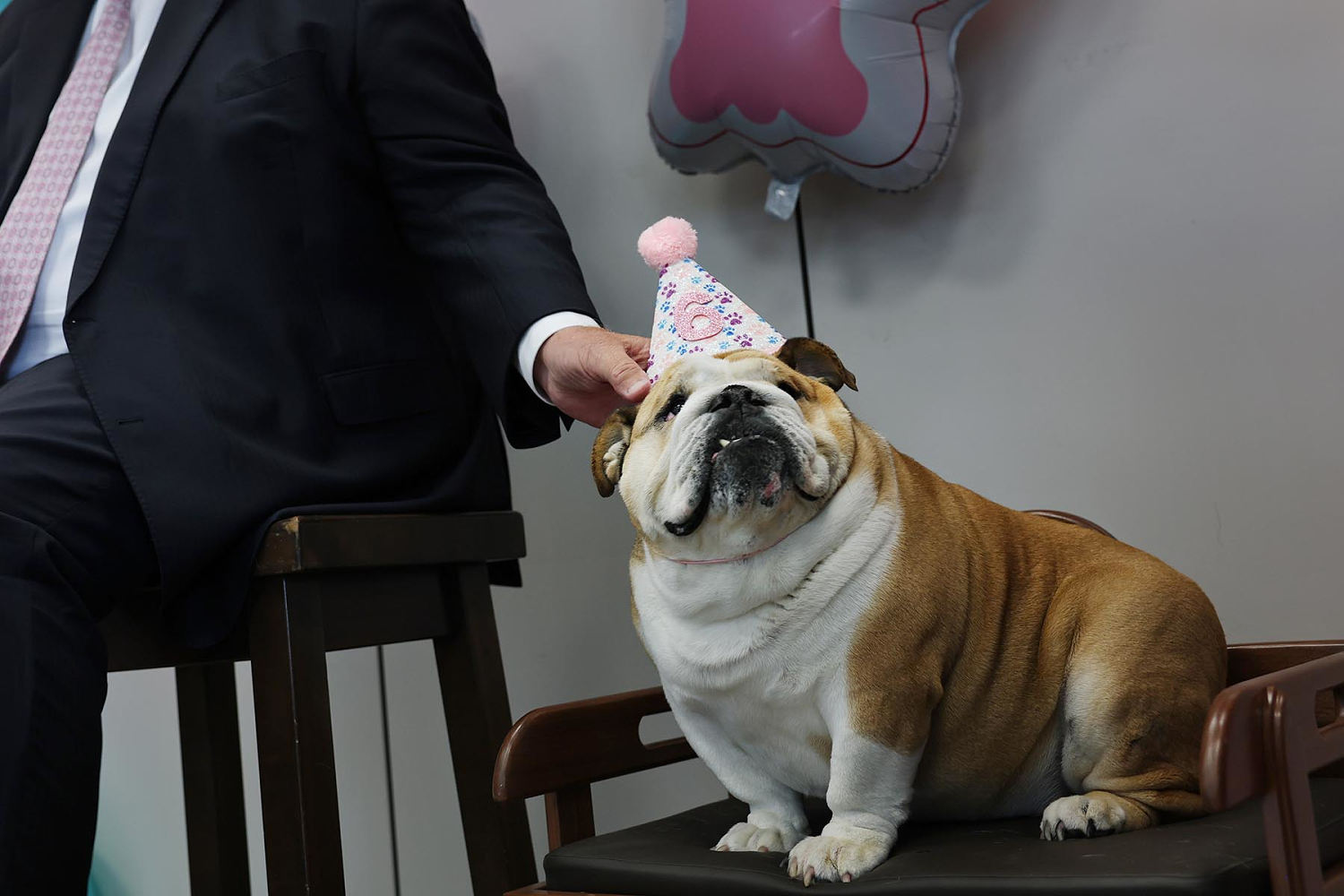 Ritzy dinners and a dog's birthday party: Shutdown life's pretty normal for Congress and Trump
