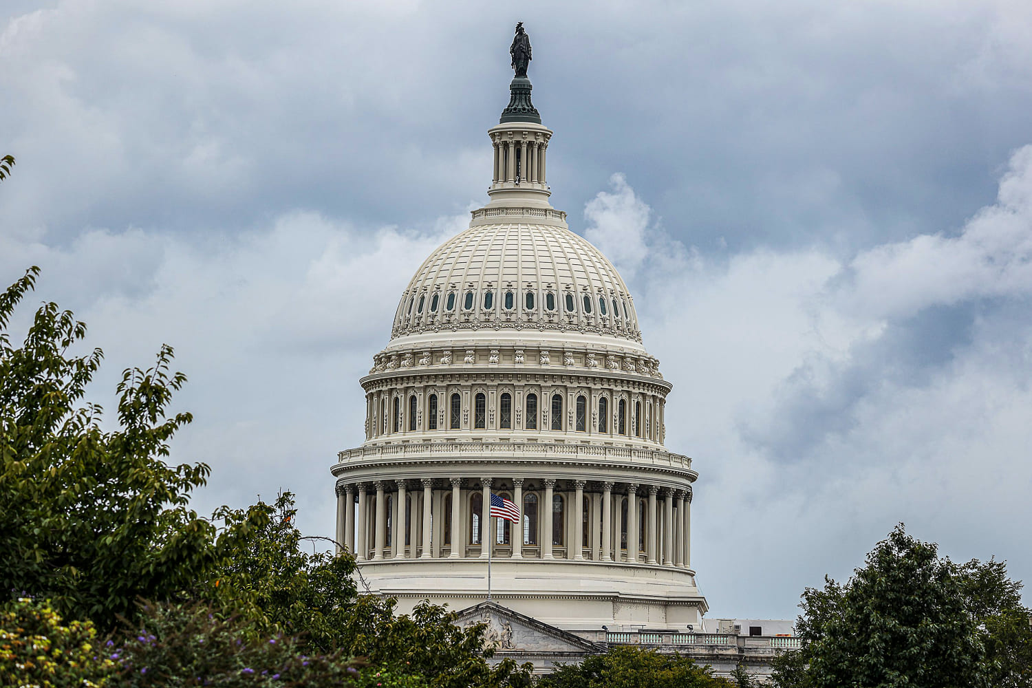 Investigation Launched After 'Optical Illusion' Swastika Flags Sent to GOP Offices