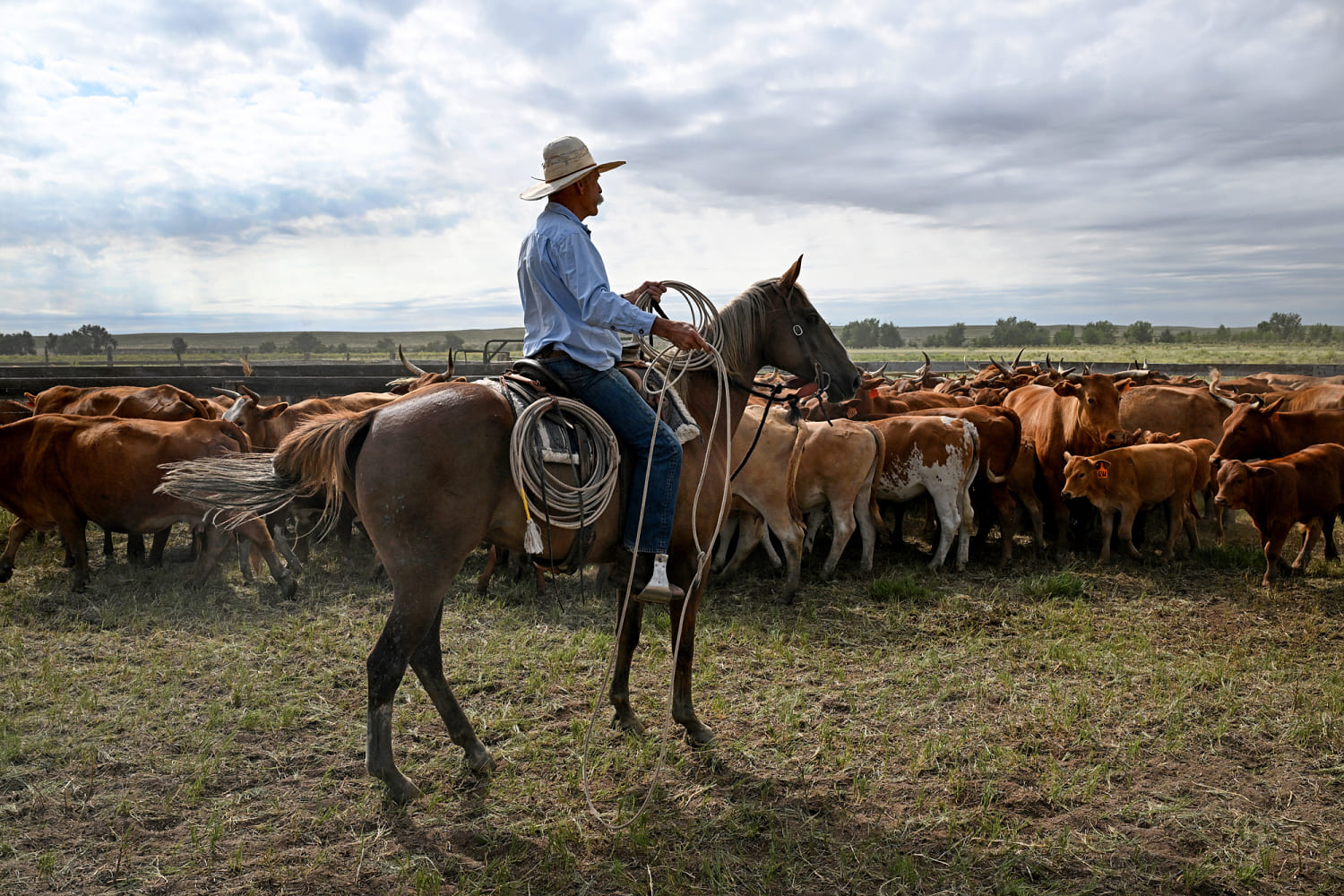 Trump's Argentina beef import plan will 'harm' U.S. ranchers, industry warns