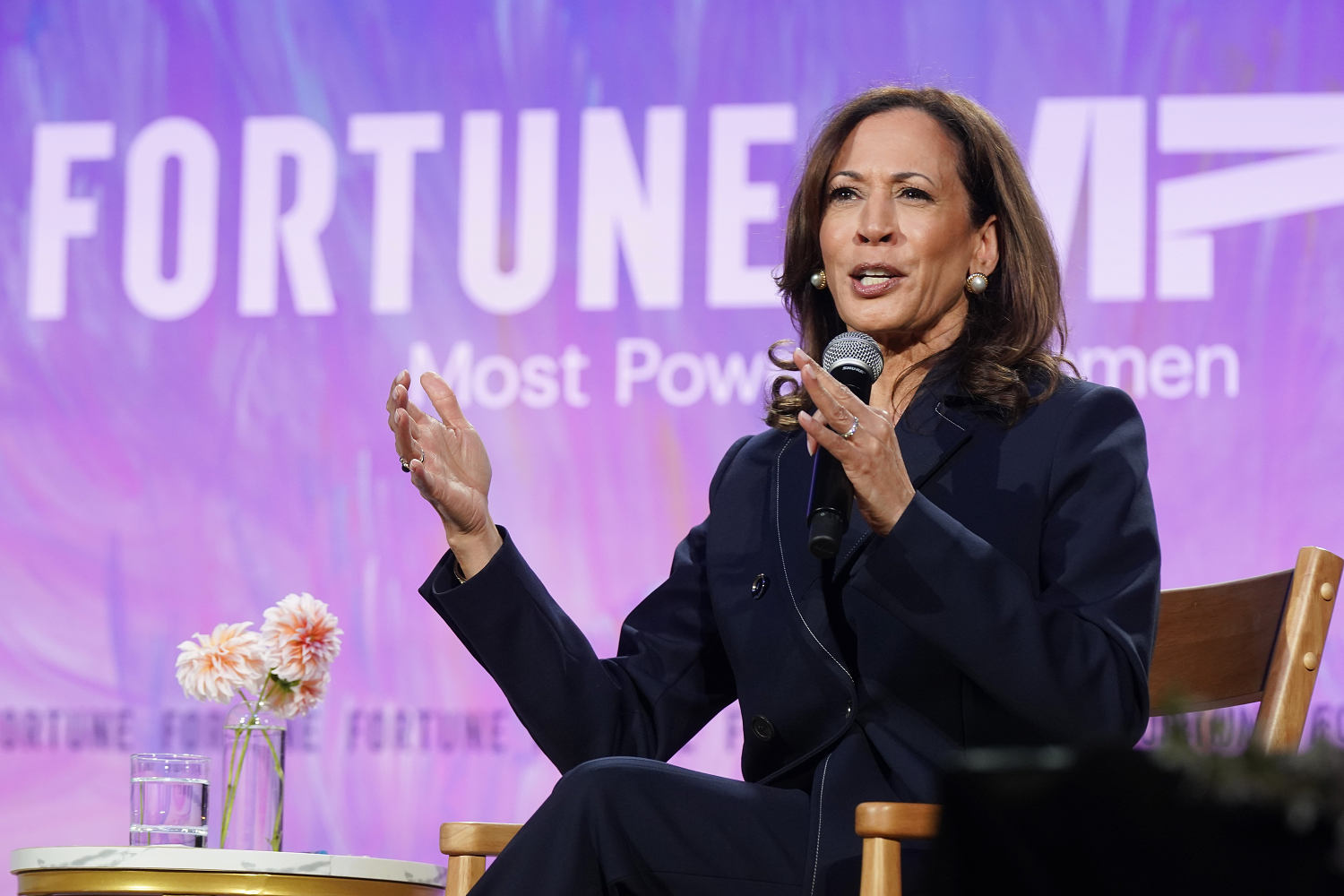 Kamala Harris says she 'possibly' could run for president again