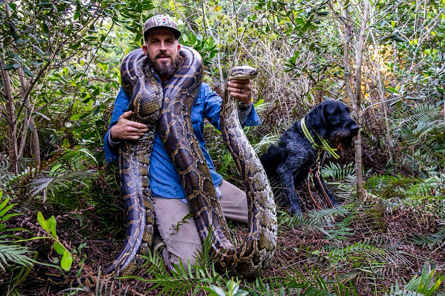 Was a hunting stand set up to target President Trump? The 'Python Cowboy' has doubts