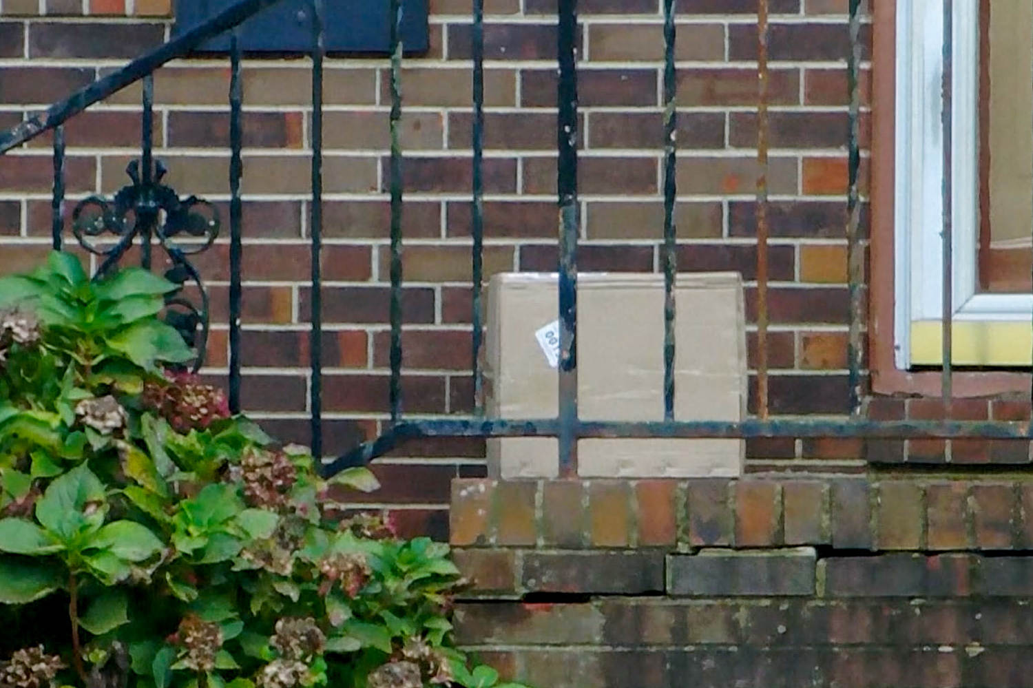 Kentucky woman expecting meds in mail gets box of human hands, fingers instead