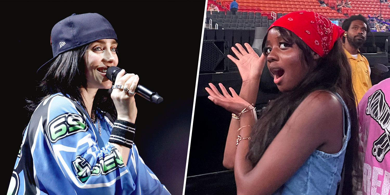 When Billie Eilish Was Accosted at a Concert, 'Red Bandana Girl' Stepped In