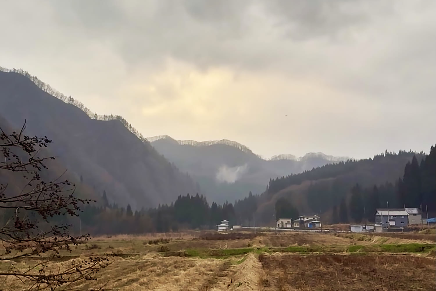 How Japan is fighting back against a surge of bear attacks