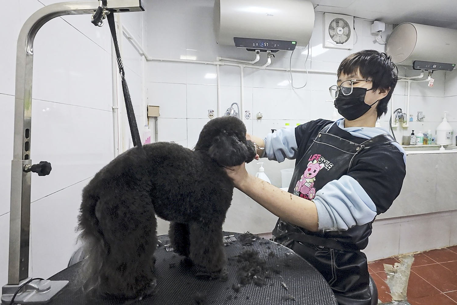 Babies out, fur babies in: Why young people in China are choosing pets over parenthood