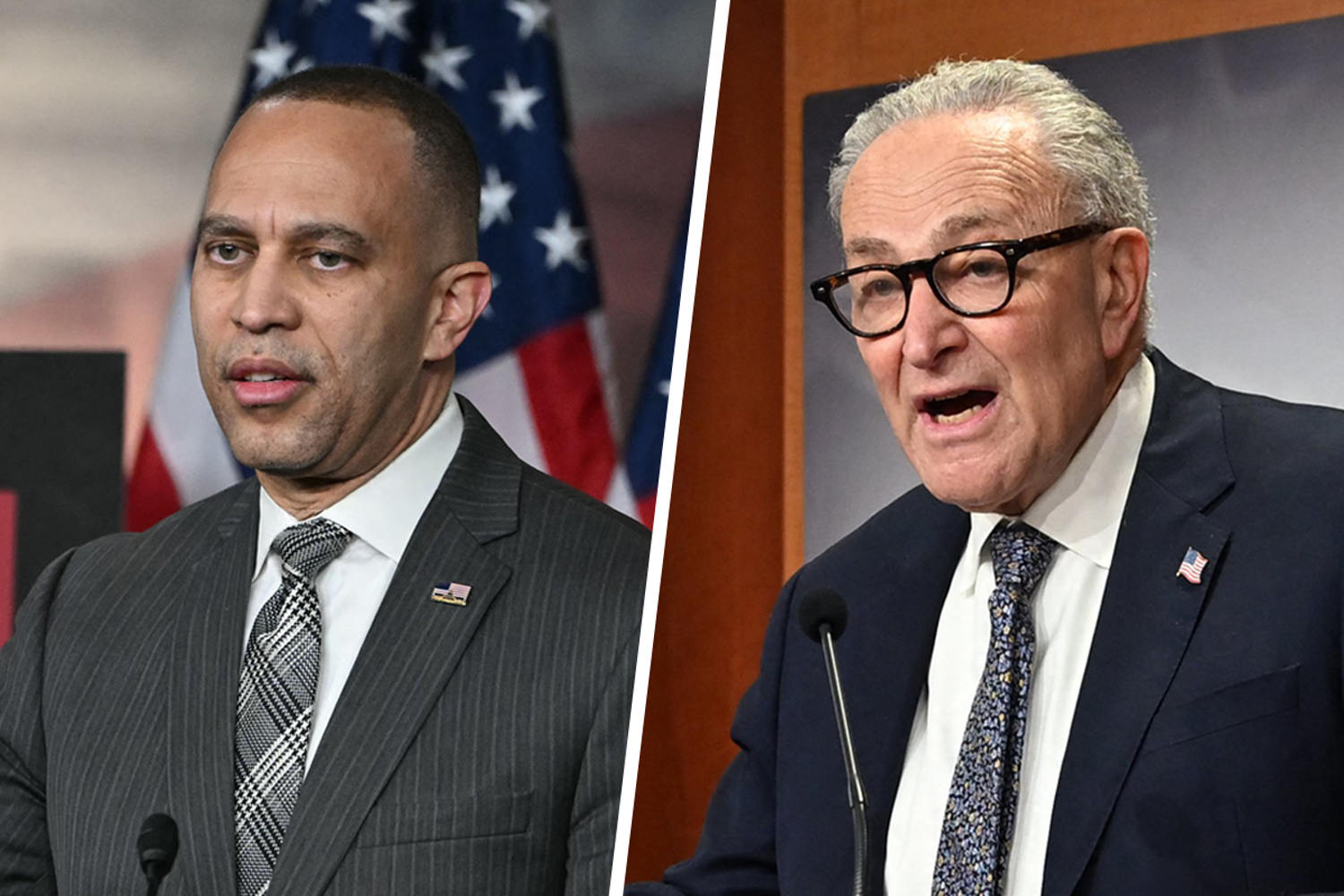 Democrats' diverging shutdown approaches: From the Politics Desk