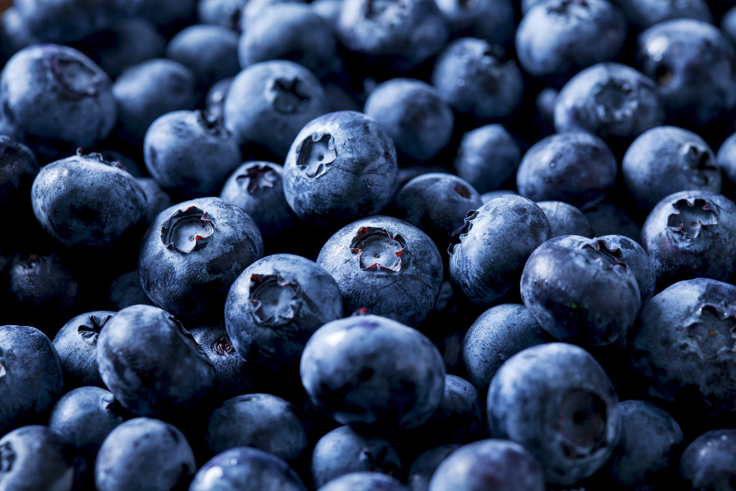 Over 55,000 pounds of blueberries recalled for potentially fatal listeria contamination