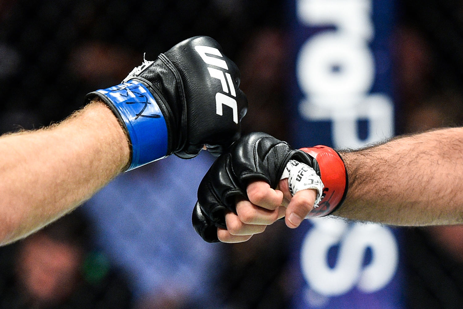 UFC fighters head to Quantico to train FBI agents