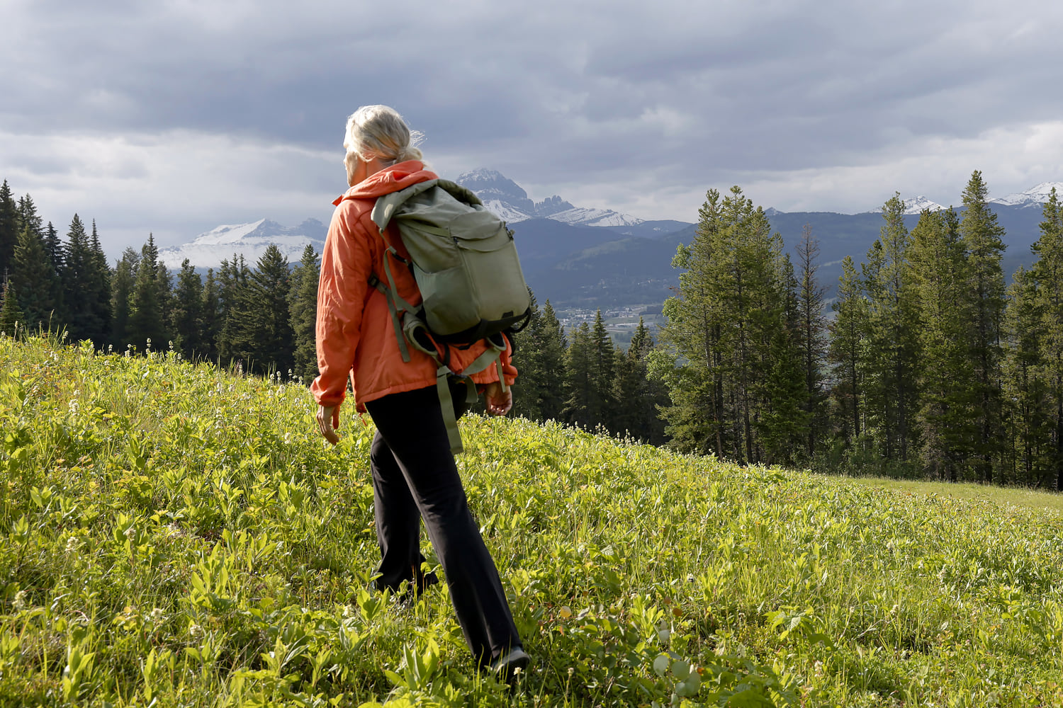 Slightly high blood pressure? Why you might not need hypertension medications yet  www.nbcnews.com