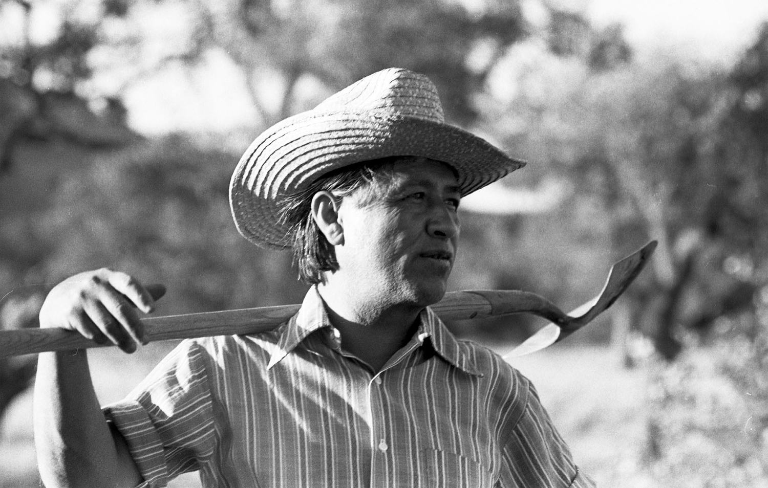 Cesar Chavez abuse allegations spur a movement to disavow him — without erasing Latino history
