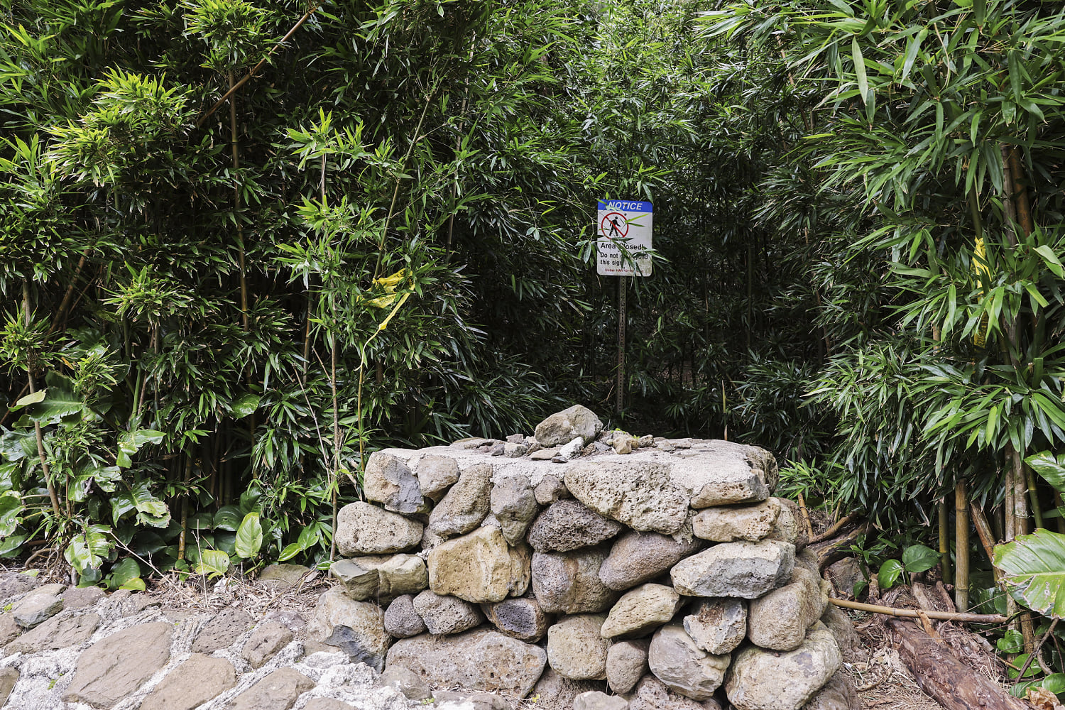 Wife of Maui doctor describes terrifying birthday hike during attempted murder trial