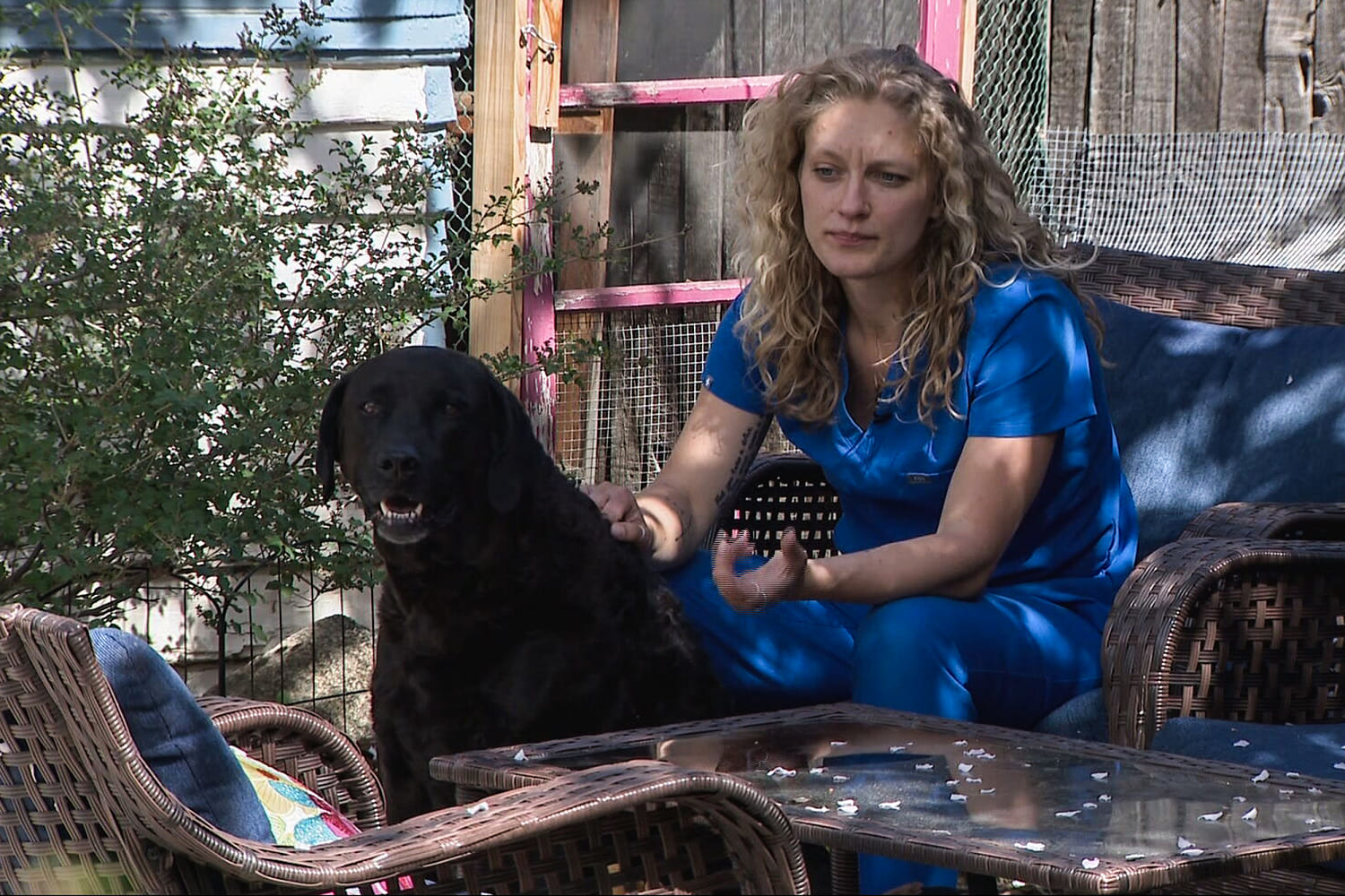 Meth-laced hot dogs have twice sickened a family's pups. Police don't know who's responsible or why.