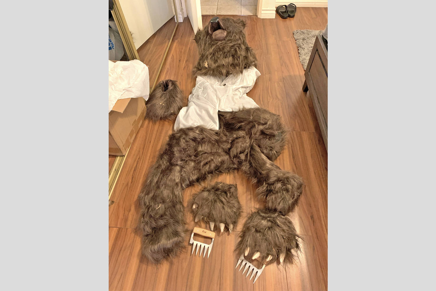 California bear-suit luxury car scam ends in insurance fraud sentences for 3