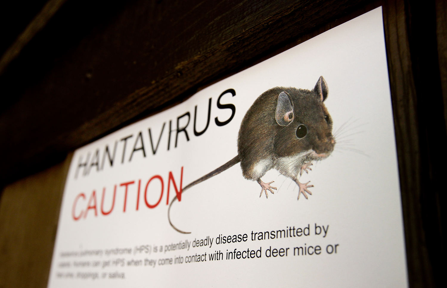 What to know about hantavirus