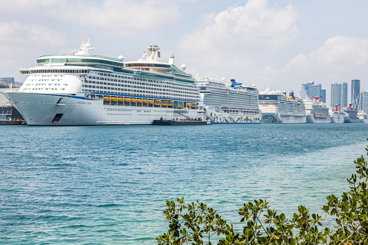 Covid-19 cruise passengers recall painful memories amid hantavirus outbreak