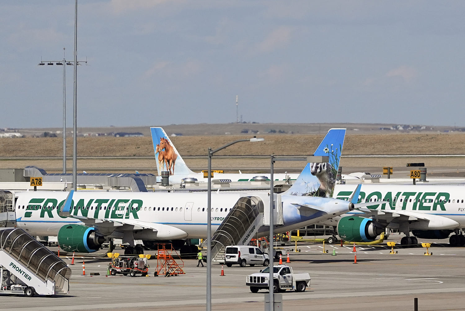 Video shows passenger jet fatally strike person on Denver airport runway