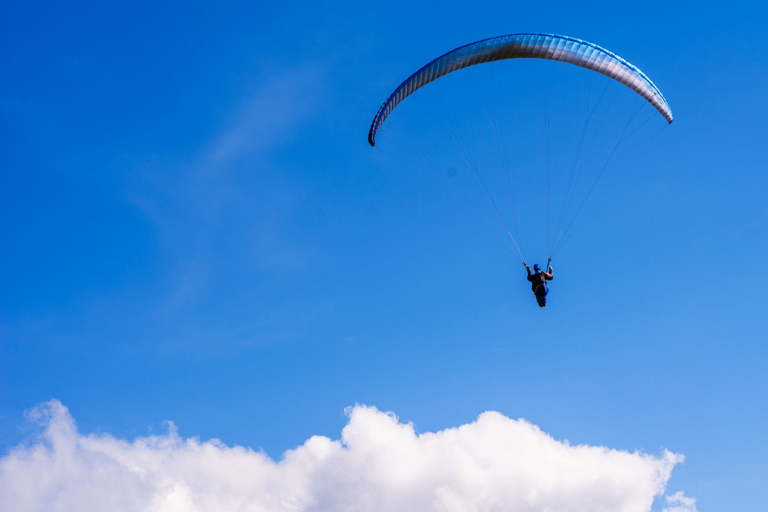 Skydiver killed after midair collision with another jumper
