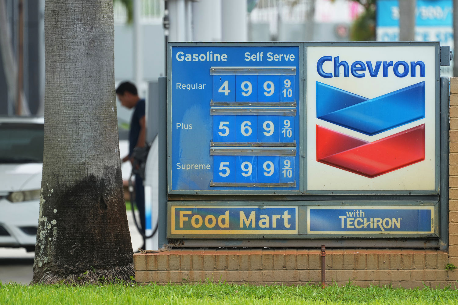 Oil set for biggest monthly drop in 6 years, bringing consumers some relief