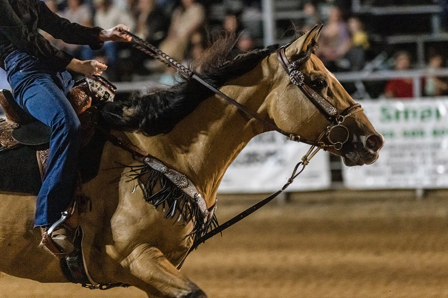 Teen horse competitor accused of hurting animals during Las Vegas event