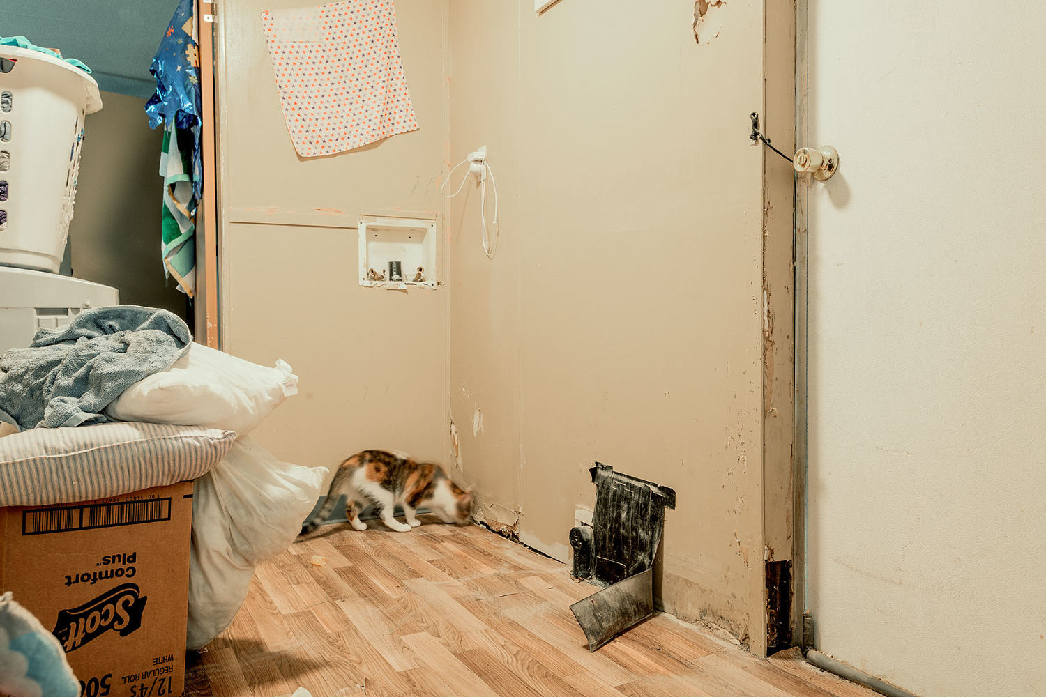 Bugs and black mold: What some mobile home park residents see after investors buy in