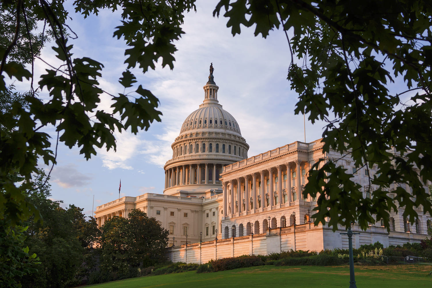 Bill aims to centralize government efforts to fight online fraud
