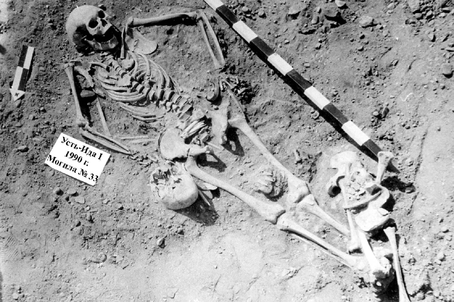The Bones in the Clay and the Rewrite of Human Terror