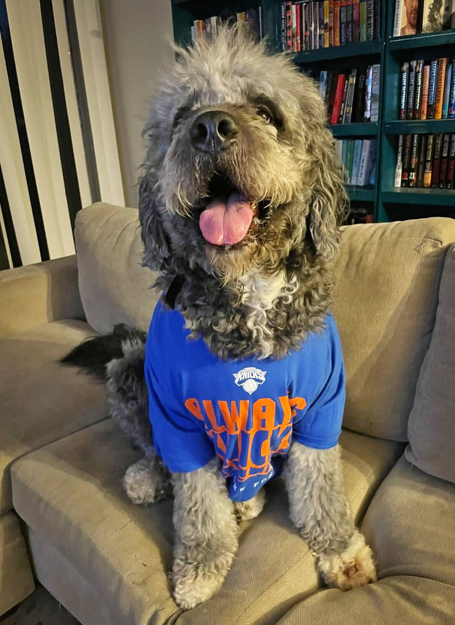 LAPD kills dog in Knicks shirt while responding to call on woman screaming about Knicks win