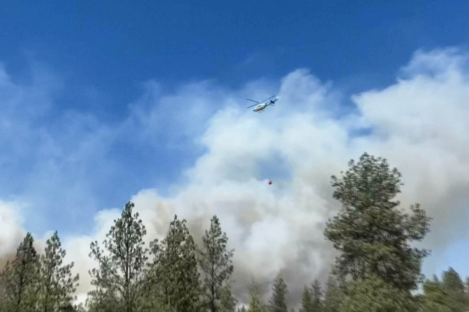 Wind-driven wildfire in Spokane prompts evacuations, destroys structures