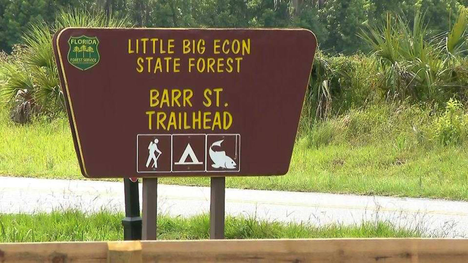 Woman dies after alligator bites off her arm in Florida river
