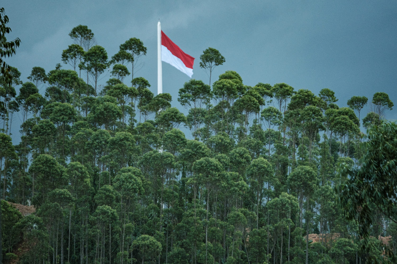 The Anatomy of Seismic Risk in the Indonesian Archipelagic Fault System