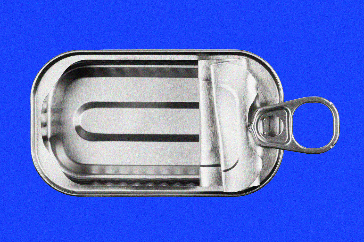 The sardine shortage is real — and it’s not all Gen Z’s fault