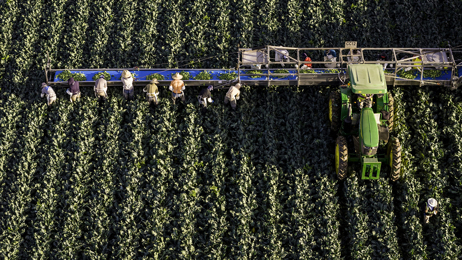 Water Restrictions Threaten Arizona's Winter Salad Production