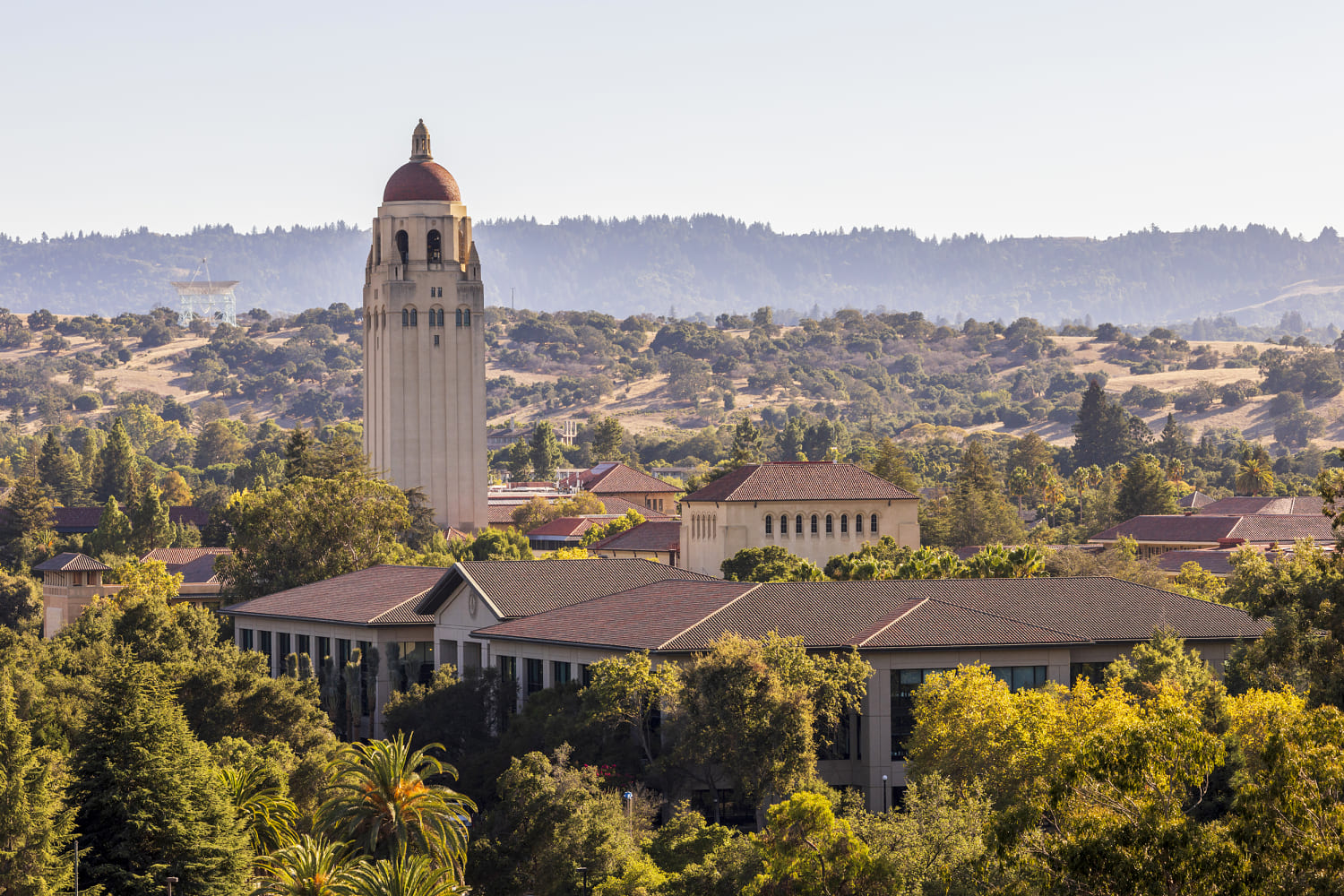 Stanford apologizes saying AI-altered photo that changed student’s gender and race  violated policy
