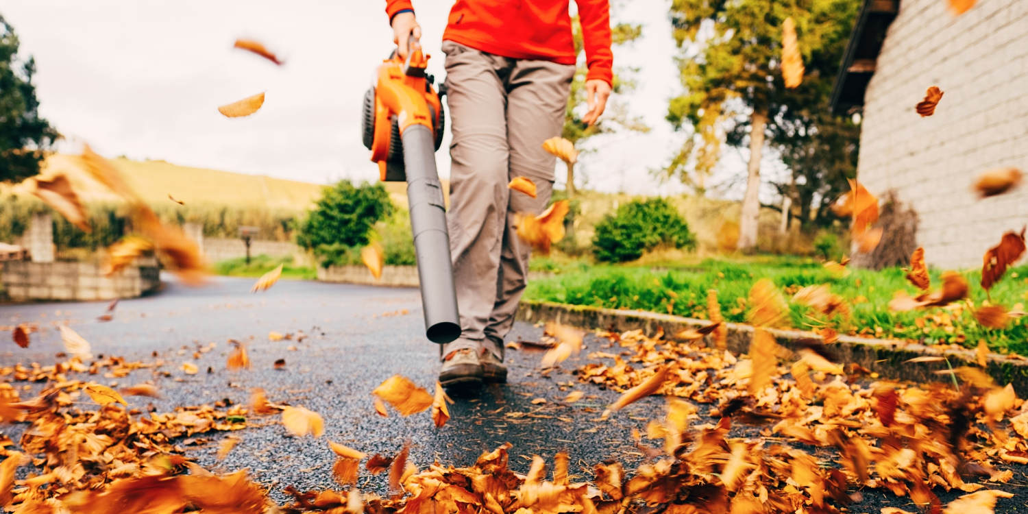 6 leaf blowers that make fall yard cleanup easy and quick