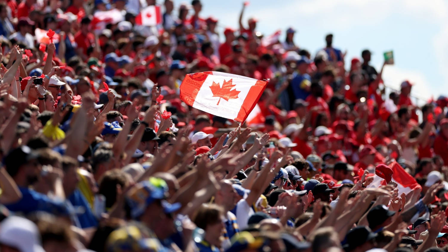 Pasión pura: las reacciones más intensas de Canadá y Bosnia y Herzegovina