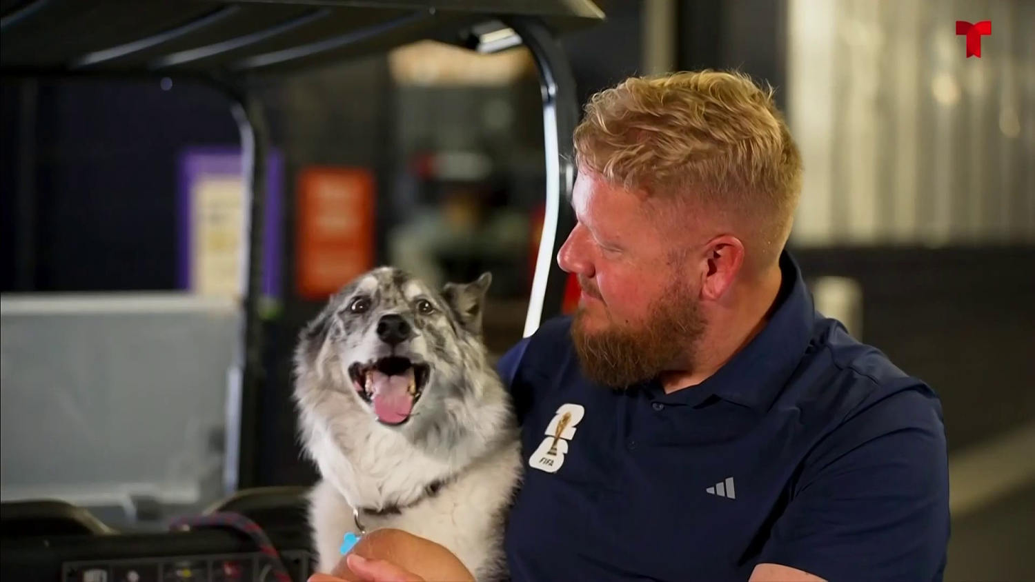 Conoce a Boyd el perro que mantiene en orden los campos de los New England Patriots